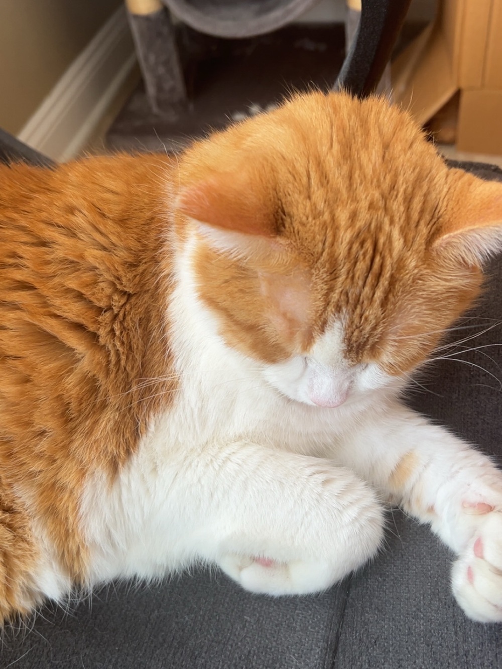 Peaches